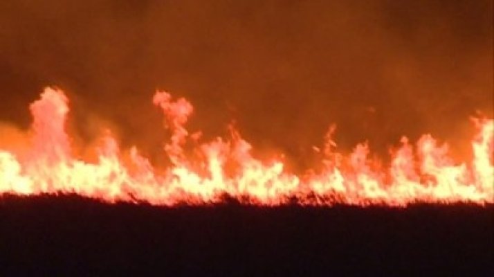 Incendiu devastator în aria protejată Biosfera Delta Dunării, din zona localităţii constănţene Vadu
